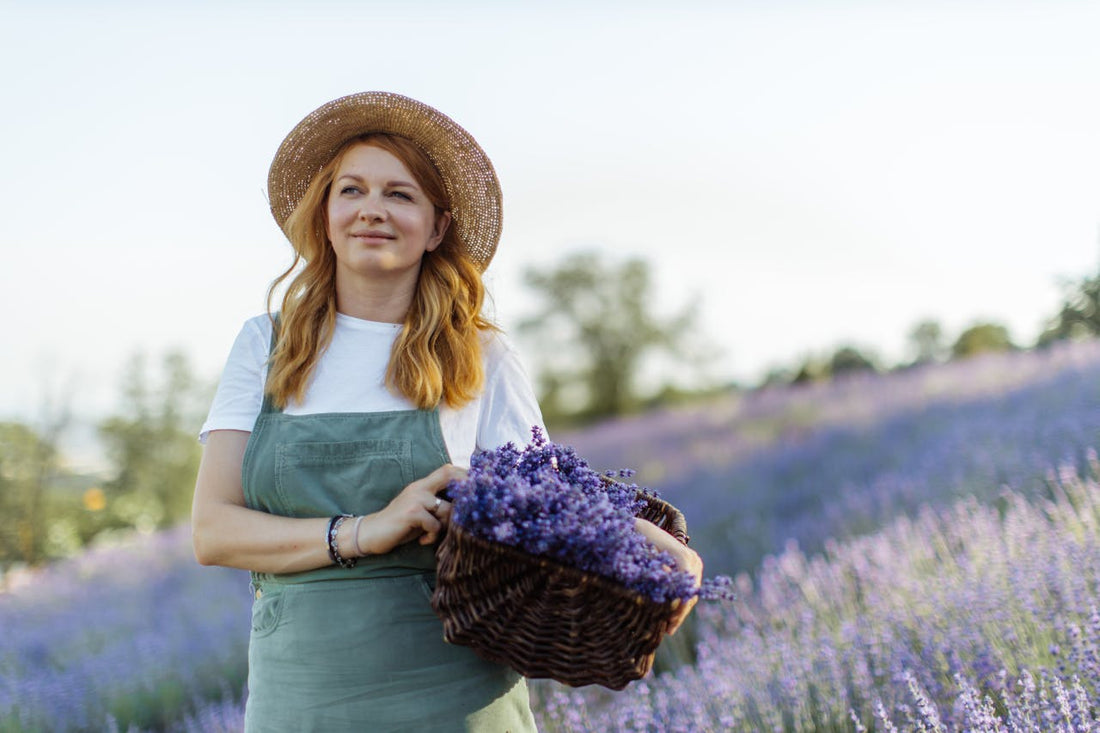 The Bedtime Balm - 5 Reasons Why Lavender Scent Helps with Sleeping